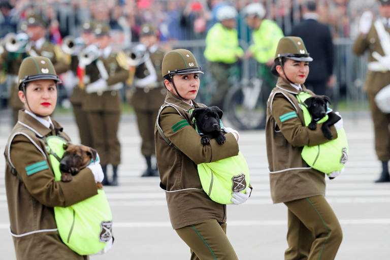 Cães chamam a atenção em desfile militar no Chile