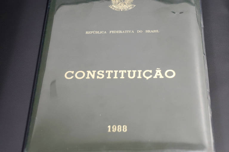 Direitos sociais dos cidadãos na Constituição de 1988: o governo dá tiro no próprio pé