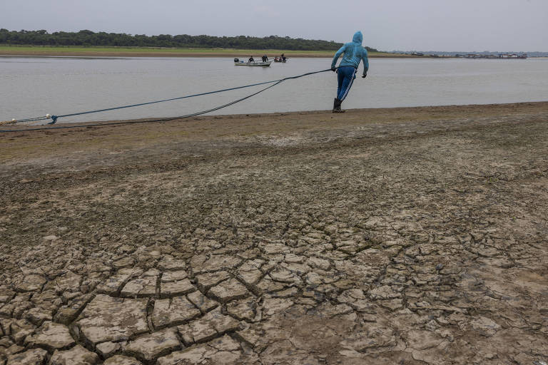 Lago onde já morreram mais de 150 botos bate novo recorde de calor no Amazonas