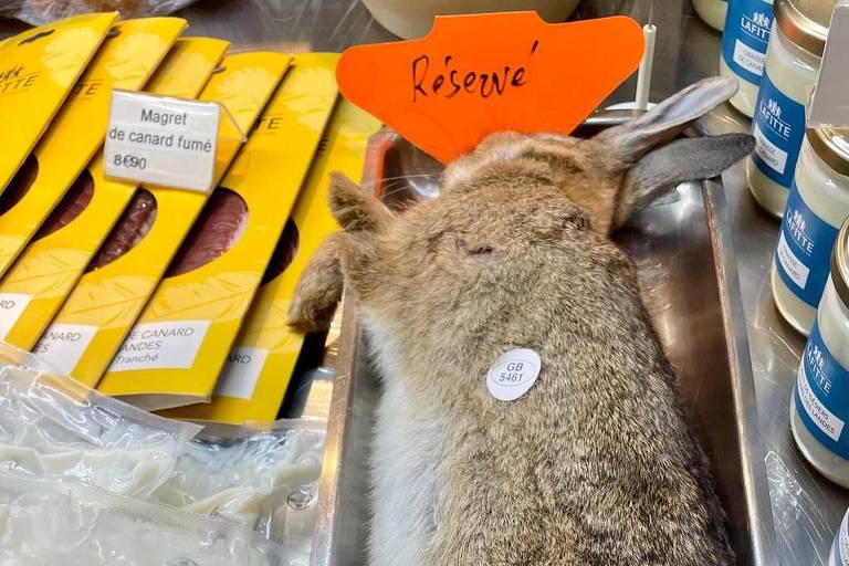 O coelho felpudo e morto à venda no mercado em Paris