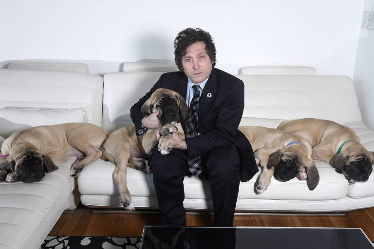 Javier Milei está sentado em um sofá branco, ele usa um terno marinho, abraça um cachorro de pelagem clara e tem outros ao seu lado