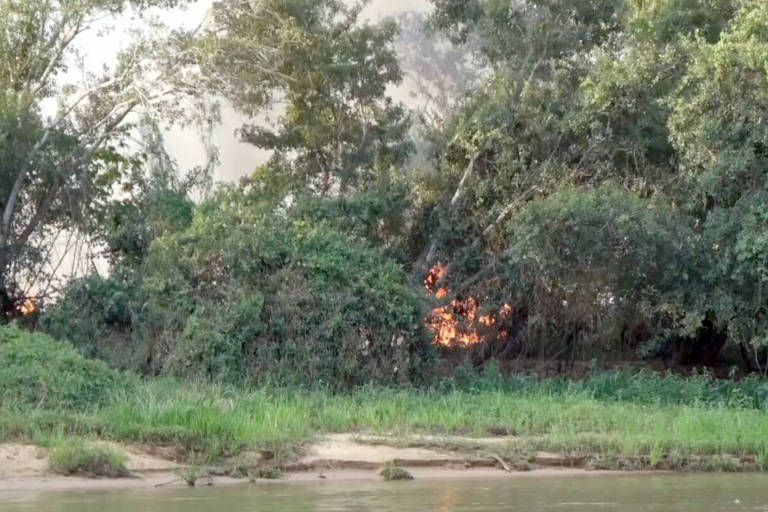 Bombeiros tentam evitar avanço do fogo em refúgio de onças-pintadas no Pantanal