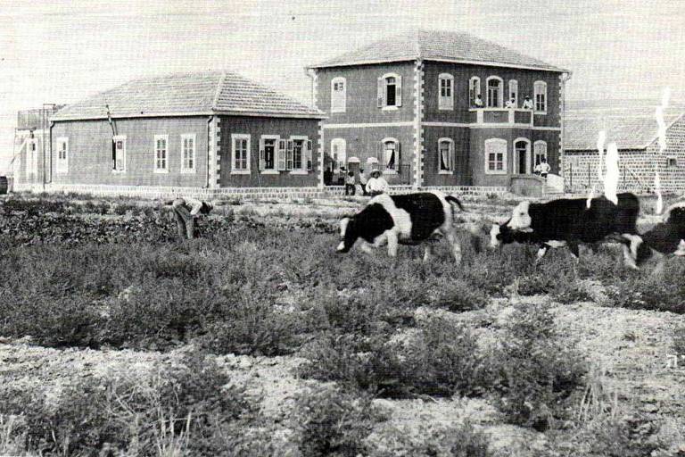 Primeiras casas do primeiro kibutz, Degania