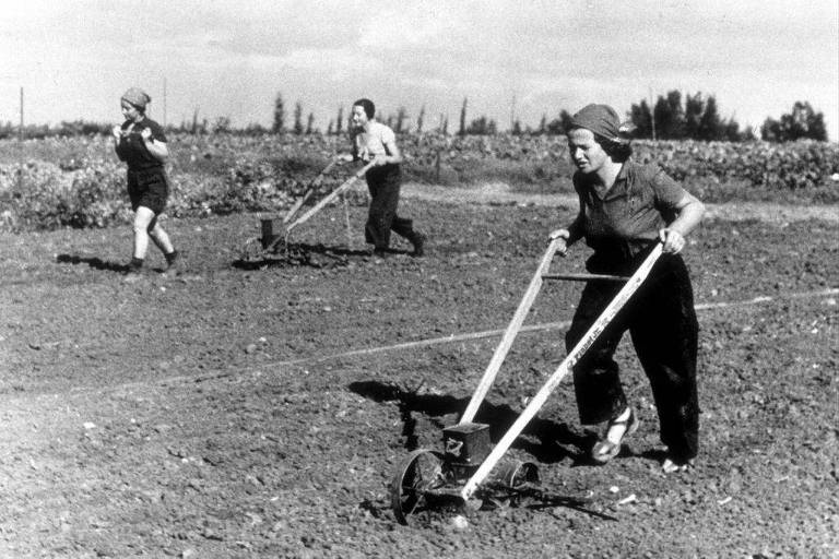 Mulheres em um kibutz em 1935, trabalhando no campo