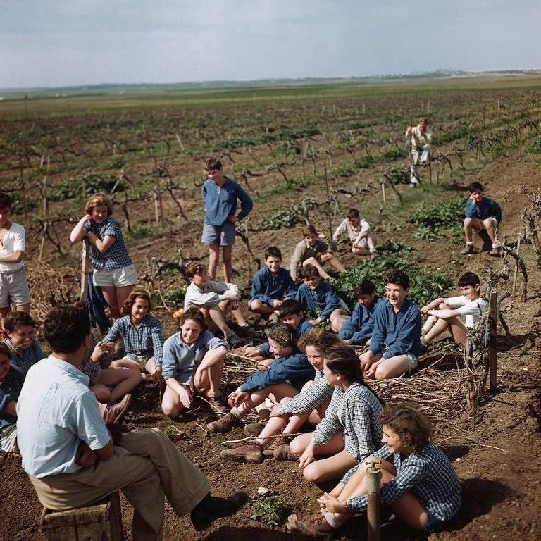 Meninos e professor em aula em um campo de cultivo