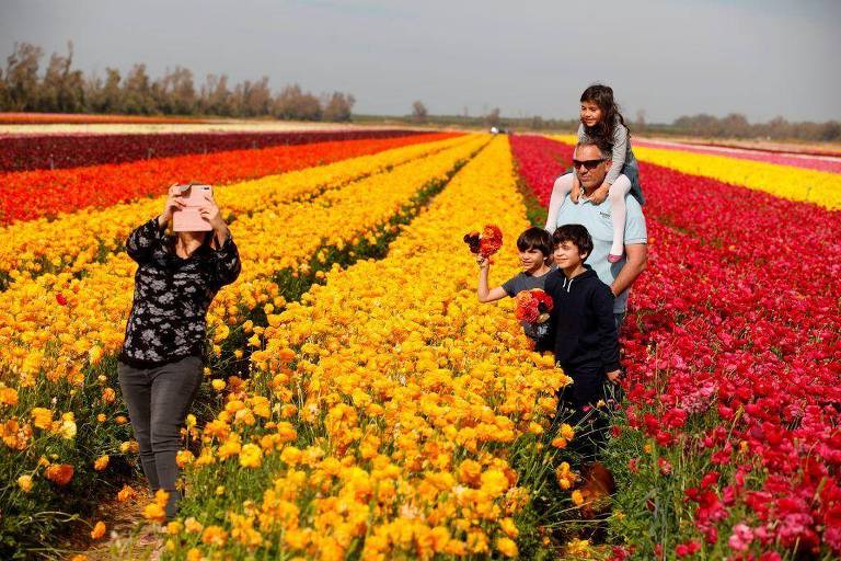Família tirando fotos na fazenda de flores do kibutz
