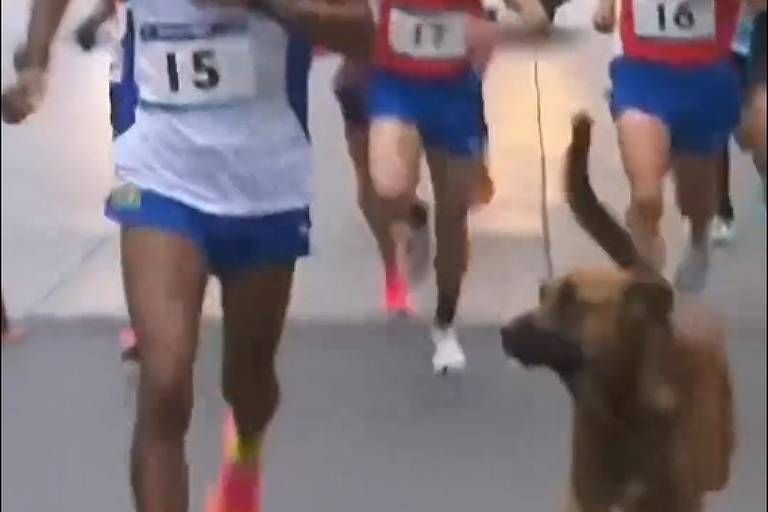 Cachorro invade corrida durante Jogos Pan-Americanos