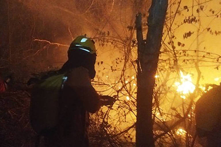 Número de queimadas na caatinga em 2023 foi o mais alto desde 2010