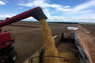 FILE PHOTO: A truck is loaded with soybeans at a farm in Porto Nacional
