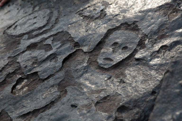 Gravuras rupestres são expostas pela seca no Amazonas; veja