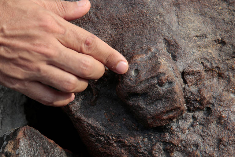 Gravuras pré-históricas são encontradas no leito seco do rio Amazonas