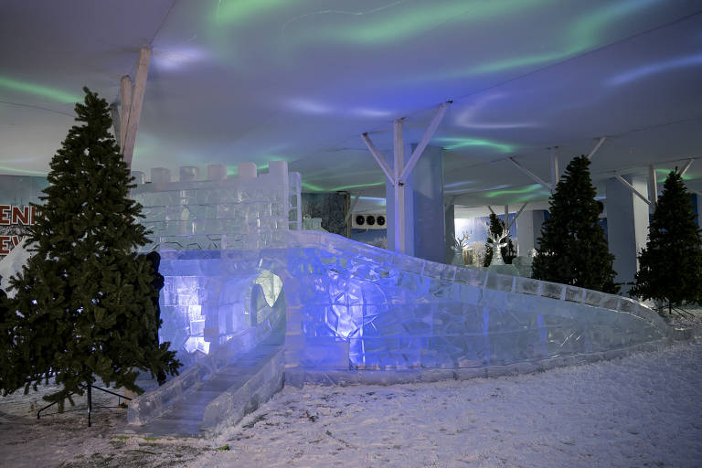 Conheça atração em SP com esculturas de gelo temperatura de -20 ºC