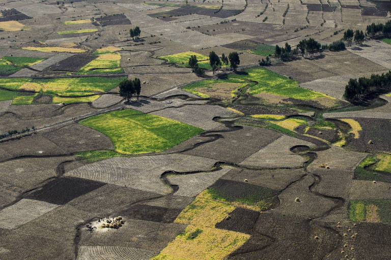 Campo perto da Etiópia em cena do documentário 'Legado', de Yann Arthus-Bertrand