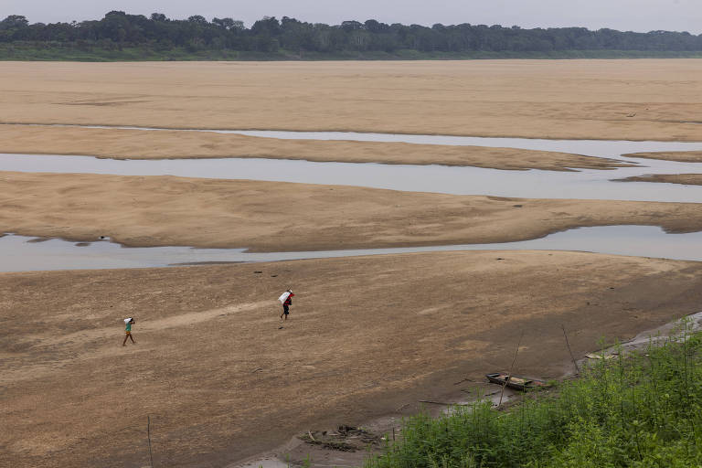 Mudança do clima na amazônia aumentou estação de seca, diz Carlos Nobre