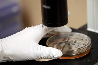 Obama Executive Order Lifts Strict Limits On Stem Cell Research