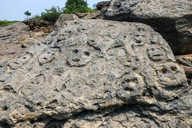Vegetação próxima a sítios arqueológicos caiu 23% de 1985 a 2023 no Brasil