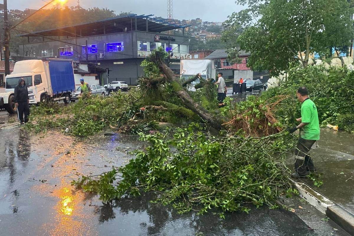 Como chegar até Praça Nove de Julho em Sorocaba de Ônibus?