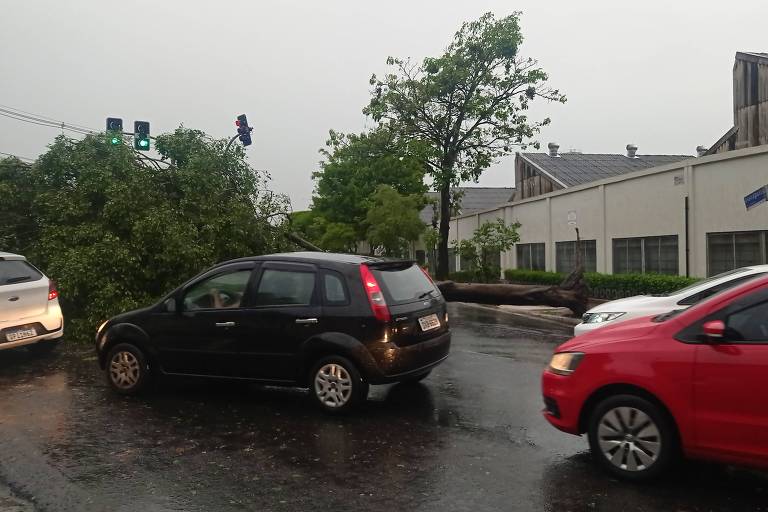 A forte chuva que caiu na cidade de São Paulo na tarde desta sexta (3) derrubou árvore na rua  Barão de Monte Santo, na Mooca, Zona Leste de São Paulo