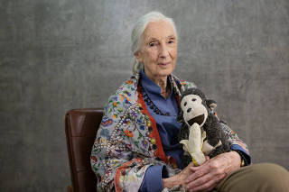 Jane Goodall, segura seu macaquinho de pelúcia, o Mister H, em passagem por SP