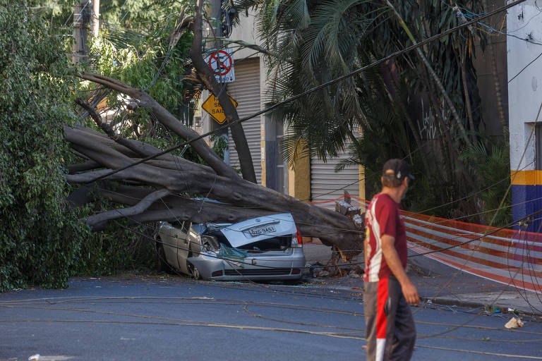 Pedestre observa carro esmagado por árvore que caiu na rua Bresser, na zona leste da capital paulista

