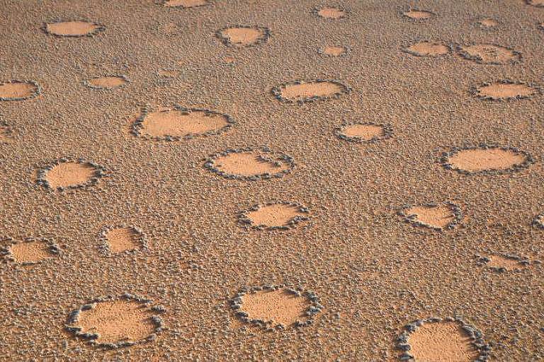 O que são os 'círculos de fadas', formações em zonas áridas que ainda intrigam cientistas