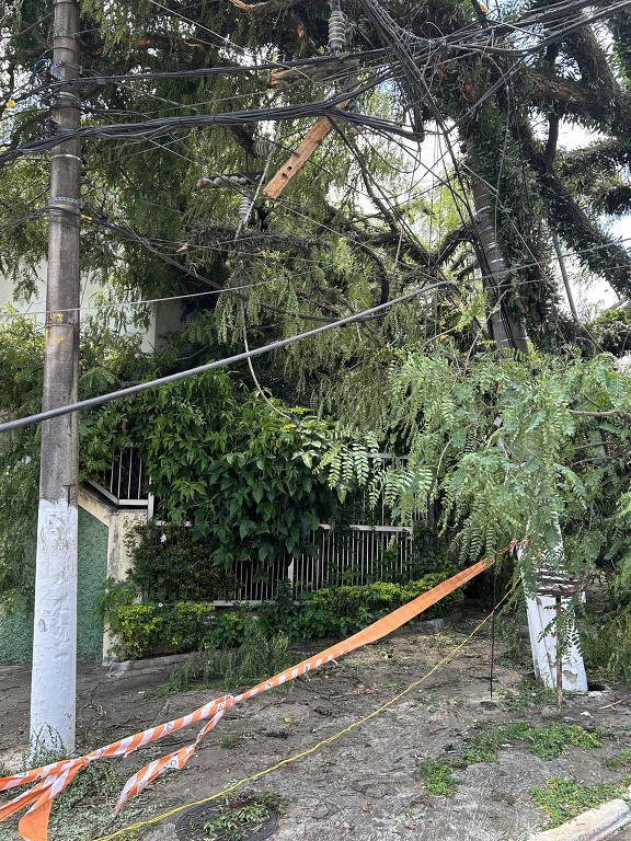 Detalhe da casa que foi atingida por uma queda de árvore, no Planalto Paulista, zona sul de São Paulo