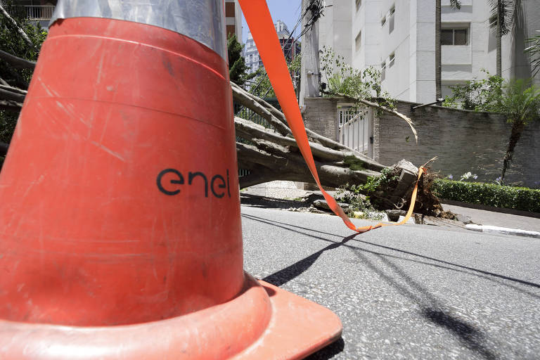 Cone com nome da Enel, concessionária de Energia, colocado sobre a pista; ao fundo; aparece uma árvore caída