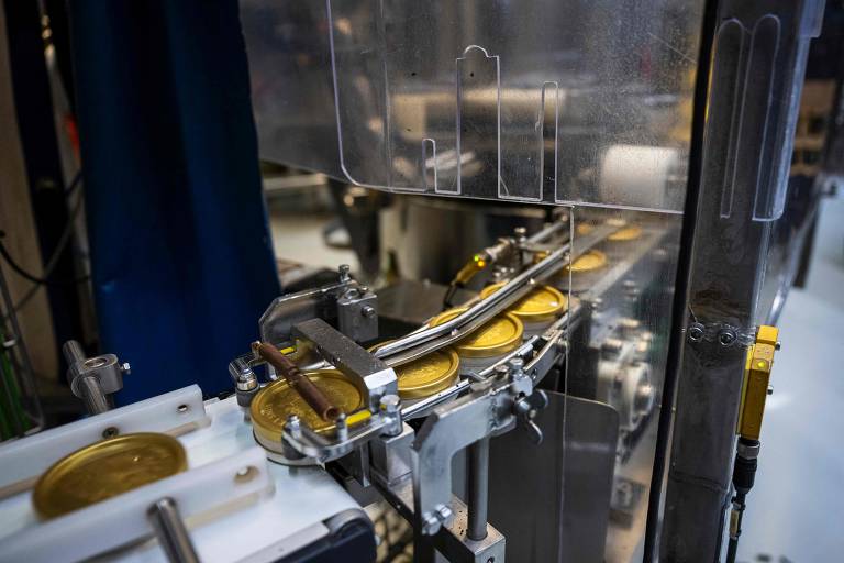 A um ritmo desenfreado, milhares de doses de snus transitam por uma rede de máquinas na fábrica "Swedish Match" em Gotemburgo, no oeste da Suécia