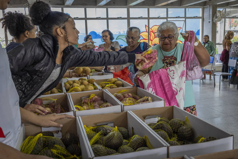 Distribuição de frutas, legumes e verduras doadas pela ONG Orgânico Solidário para o projeto Colo de Vó