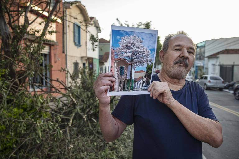 Homem mostra uma fotografia em frete a uma árvore caída, com algumas casas atrás dele