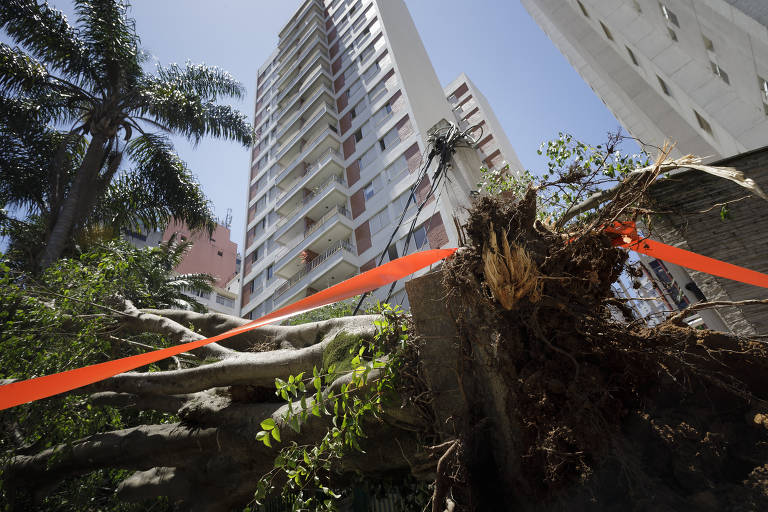 Enel Distribuição - Rio de Janeiro - Reclame Aqui