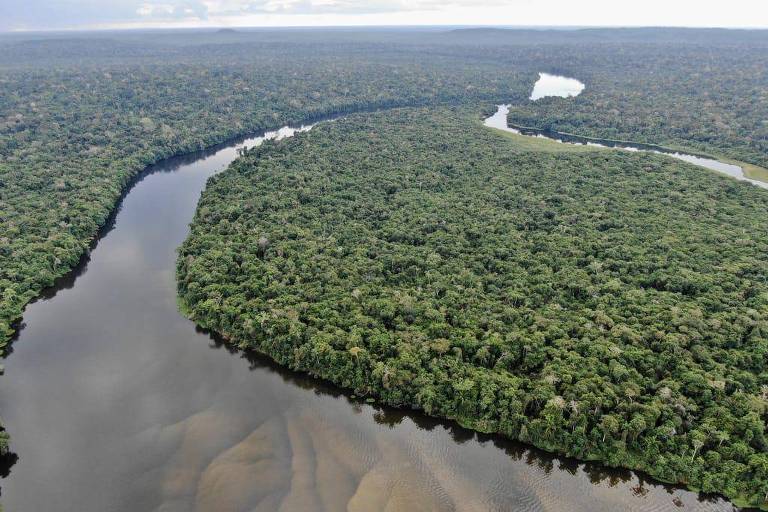 Pará pede empréstimo para preservar Amazônia, mas não recebe propostas