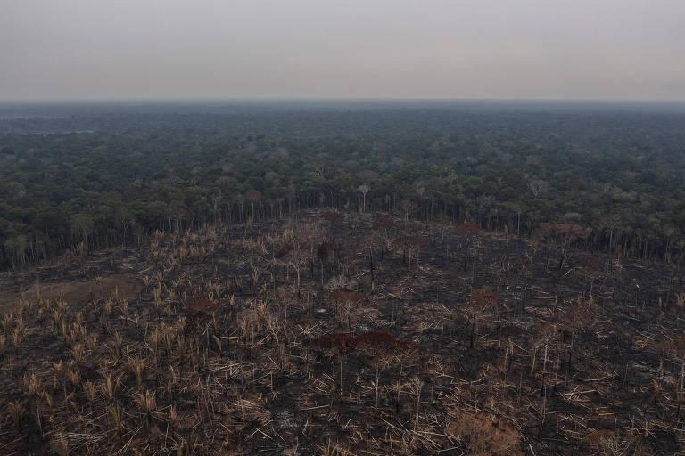 Desmatamento na Amazônia fica abaixo de 10 mil km2 pela primeira vez desde 2018