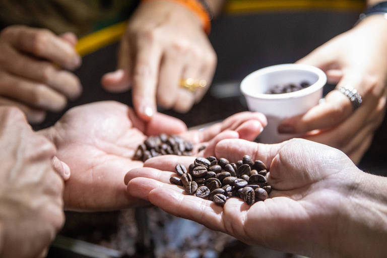 Pressionada, cafeicultura brasileira corre atrás de rastreabilidade