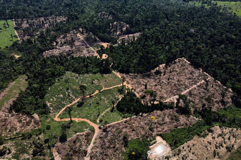 Lula quer levar à COP28 proposta para transformar terras degradadas em lavoura