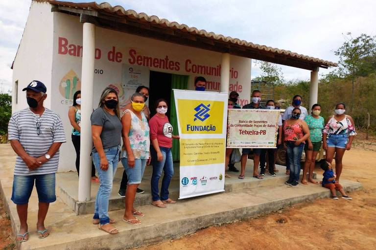 Banco de sementes é estratégia de ONG para recaatingamento na Paraíba