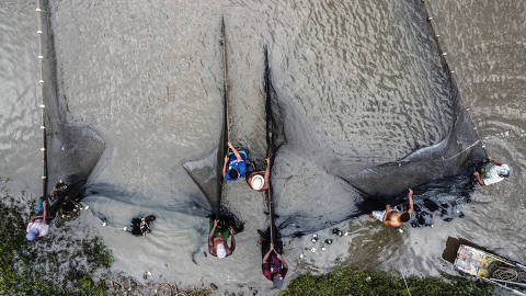 CACHOEIRA, BA, 17.10.2023 - Pescadores durante puxada de rede em Cachoeira, município no estado da Bahia, no Recôncavo da Bahia. (Foto: Rafaela Araújo/Folhapress)