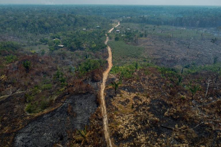 Se desmatamento mantiver ritmo de queda, Brasil pode atingir meta climática de 2025