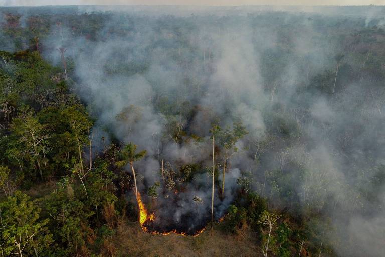 Fundo Amazônia amplia recursos para combater incêndios florestais
