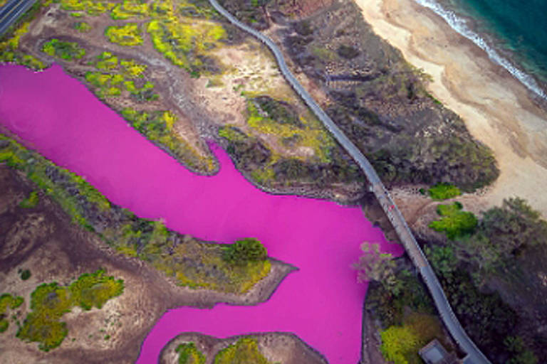 Vista aérea de lago do cor de rosa ao lado de uma praia