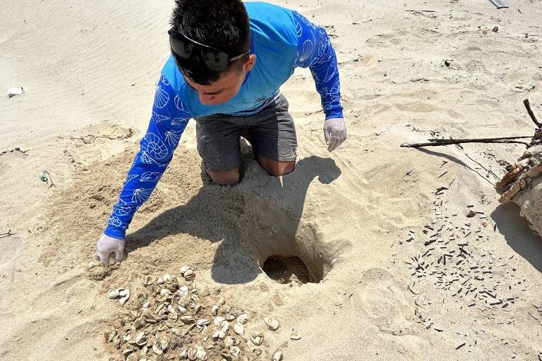 pescador abaixado na areia em buraco como ovos de tartaruga
