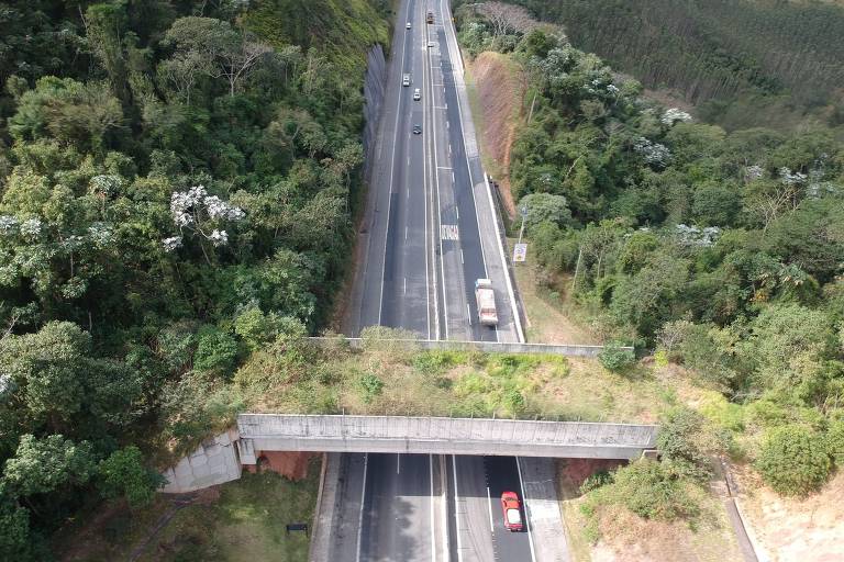 Imagem aérea de viaduto vegetado em cima de rodovia