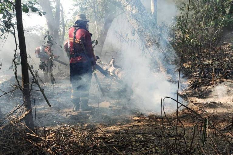 Bombeiros combatem fogo na vegetação