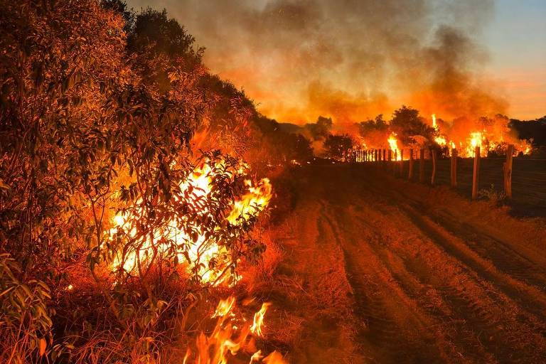 Em 13 dias, pantanal tem mais de 2.000 focos de incêndio em novembro