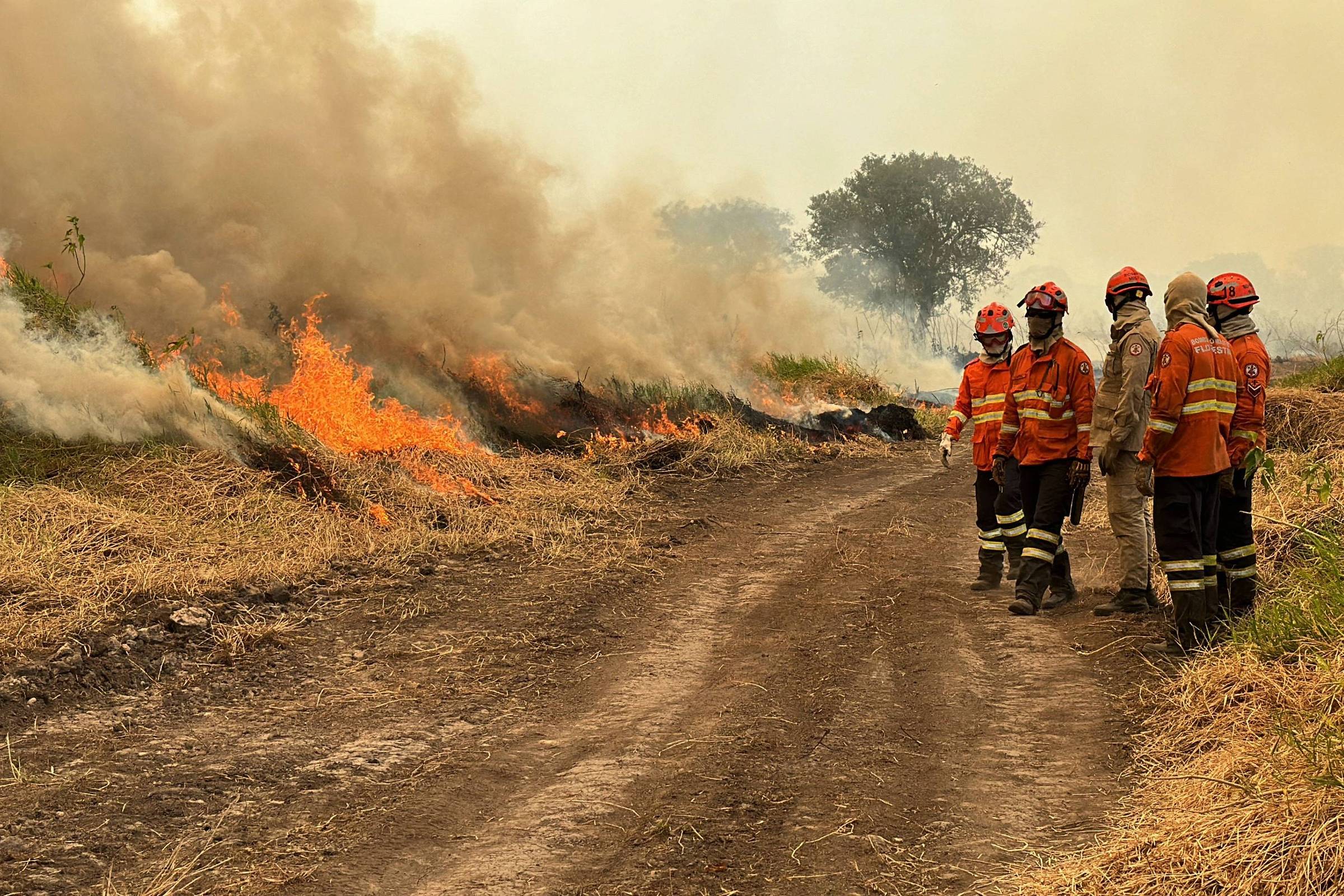 Escassez de água e fogo subterrâneo dificultam combate a incêndio no  Pantanal de MT perto da fronteira com a Bolívia, Mato Grosso
