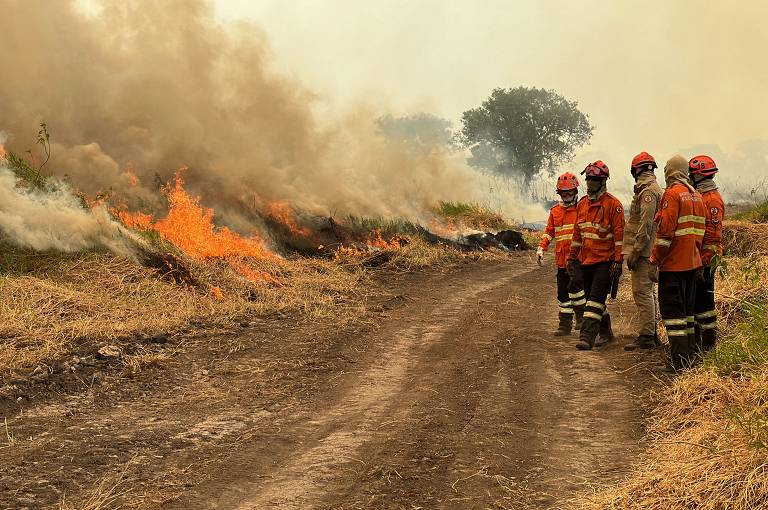 Bombeiros combatem incêndios florestais no Pantanal, próximo a Porto Jofre, Mato Grosso