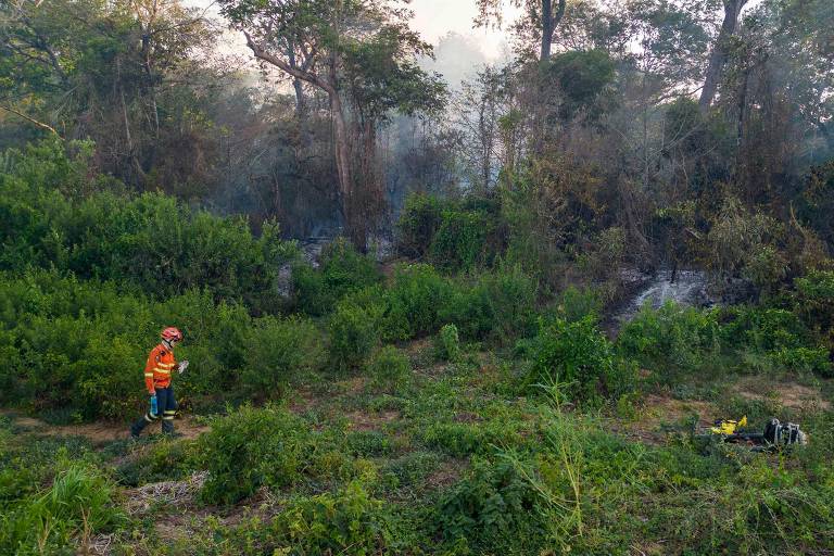 Incêndio florestal no Pantanal, próximo a Porto Jofre, Mato Grosso