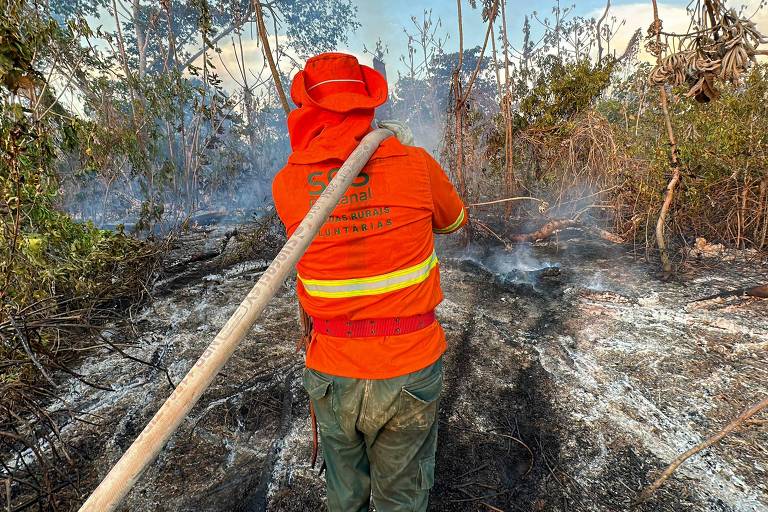 Bombeiro apaga incêndio no Pantanal em Porto Jofre, localidade no município de Poconé, onde termina a estrada Transpantaneira em Mato Grosso; vários focos são provocados pela ação humana, na utilização de técnicas de corte e queima para a expansão agrícola. Situação agravada por uma seca excepcional na região.