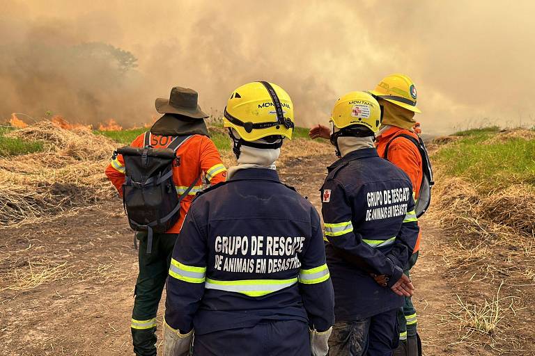 Bombeiros tentam conter incêndio no Pantanal em Porto Jofre, localidade no município de Poconé, onde termina a estrada Transpantaneira em Mato Grosso; vários focos são provocados pela ação humana, na utilização de técnicas de corte e queima para a expansão agrícola, Situação é agravada por uma seca excepcional na região.
