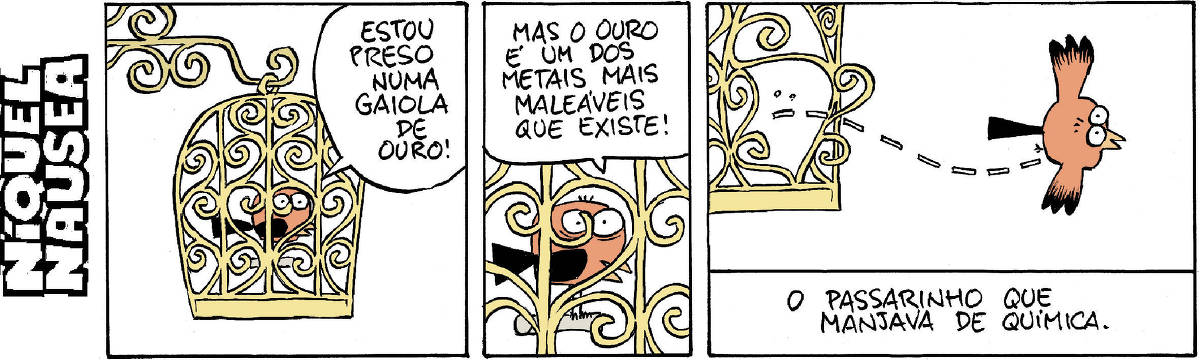 Quadrinho 1: Uma gaiola de ouro toda trabalhada com uma pássaro vermelho dentro ocupa todo o quadrinho. O pássaro diz: Estou preso numa gaiola de ouro. Quadrinho 2: Um close do pássaro dentro da gaiola. Ele diz: Mas o ouro é um dos metais mais maleáveis que existe! Quadrinho 3: A gaiola está entortada e aberta e o pássaro está voando. A legenda abaixo explica: o passarinho que manjava de química.